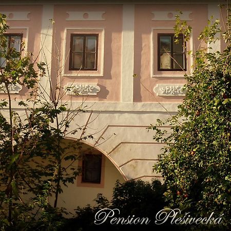 Pension Plesivecka 119 Český Krumlov Eksteriør billede
