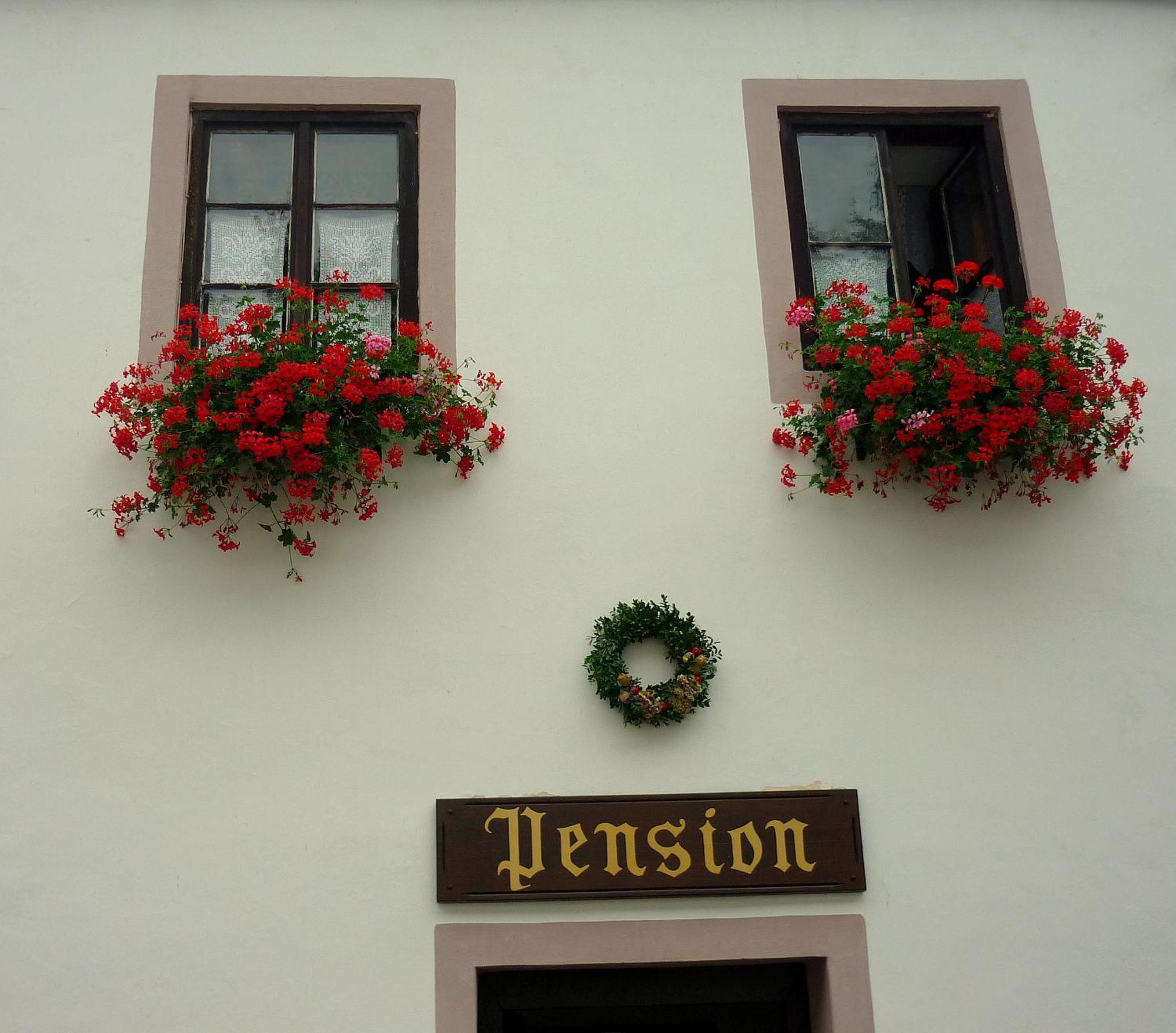 Pension Plesivecka 119 Český Krumlov Eksteriør billede