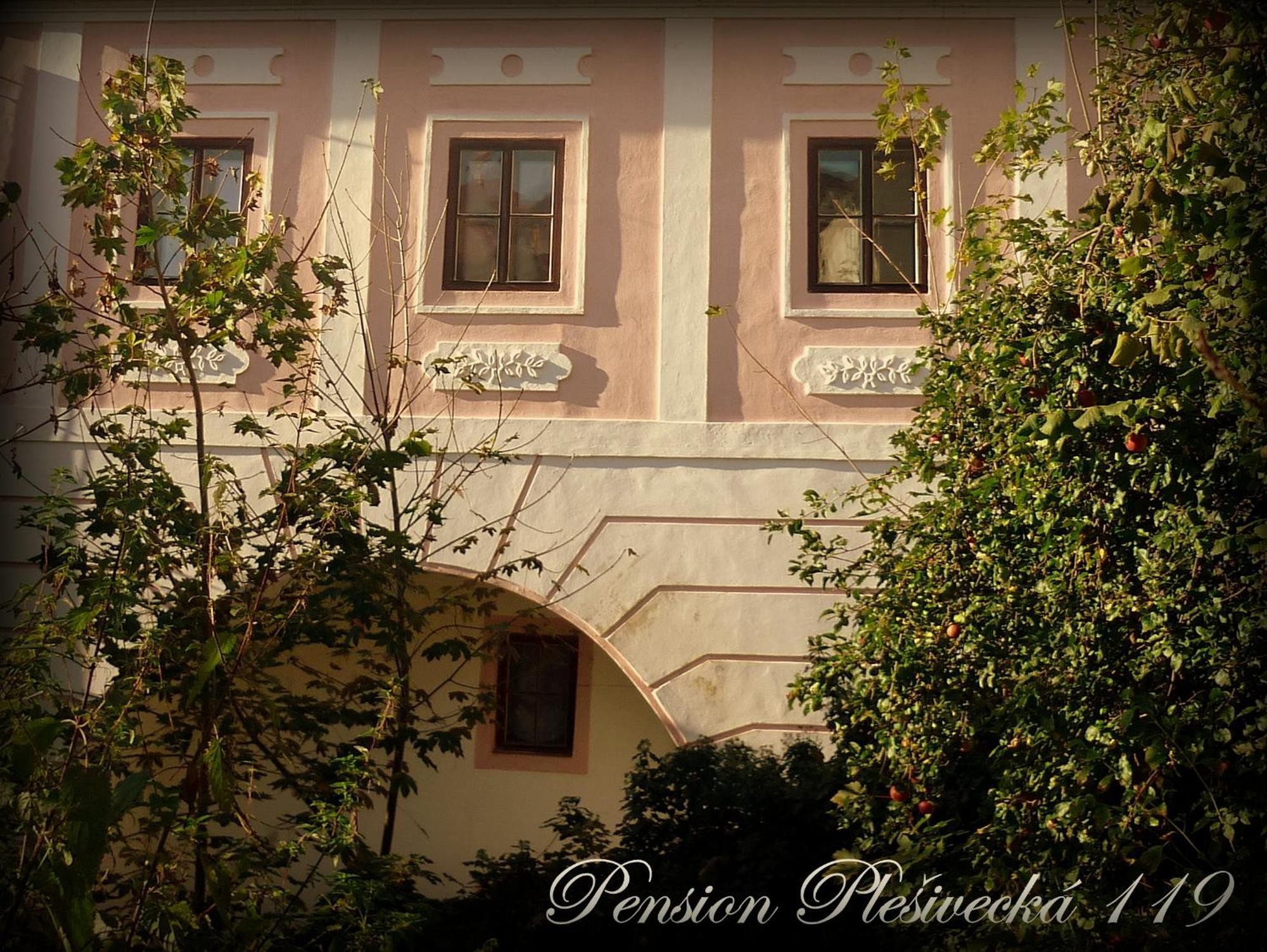 Pension Plesivecka 119 Český Krumlov Eksteriør billede
